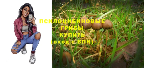 ALPHA PVP Алексин