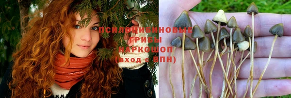 не бодяженный Алзамай